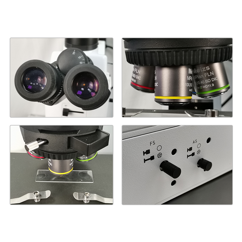 ML9000 গবেষণা স্তর খাড়া মাইক্রোস্কোপ